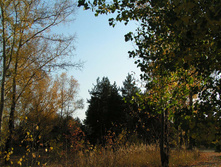 PICT0287275275.jpg