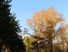 PICT0288276276.jpg