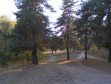 PICT0327312312.jpg