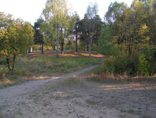 PICT0328313313.jpg