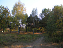 PICT0329314314.jpg
