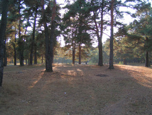 PICT0341325325.jpg