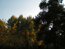 PICT0347331331.jpg