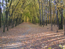 PICT0354338338.jpg