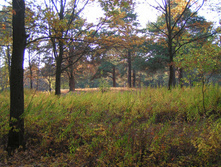 PICT0363347347.jpg
