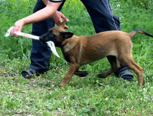 16.07.2010 188.jpg