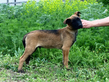 16.07.2010 044.jpg