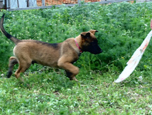 16.07.2010 045.jpg