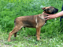 16.07.2010 145.jpg