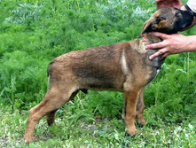 16.07.2010 146.jpg