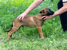 16.07.2010 161.jpg