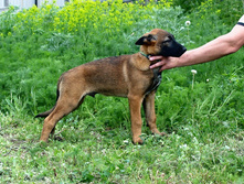 16.07.2010 162.jpg