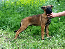 16.07.2010 163.jpg