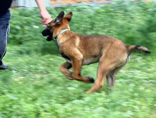 16.07.2010 167.jpg