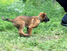 16.07.2010 169.jpg