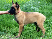 16.07.2010 171.jpg