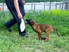 16.07.2010 175.jpg