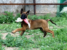 16.07.2010 176.jpg
