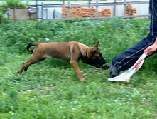 16.07.2010 184.jpg