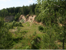 17.07.2009 10:08:54