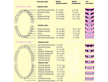 9952.gif