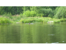 18.07.2009 10:25:57