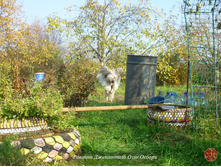 P1080373.JPG