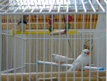 P1000524_.JPG