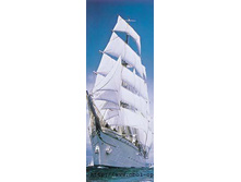 2-1017 Sailing Boat 86�220.jpg