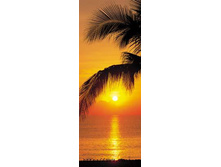 2-1255 Palmy beach sunrise 97�220.jpg