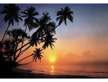 8-030 Tropical Sunset 368�270.jpg
