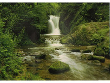 8-047 Ellowa Falls 388�270.jpg