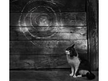 ������� �������� ������������