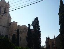 P1010640.JPG
