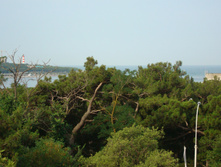 28.07.2009 8:35:43