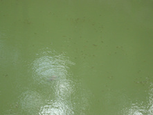 28.07.2009 8:38:55