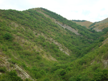 28.07.2009 8:39:01