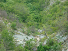 28.07.2009 8:39:06