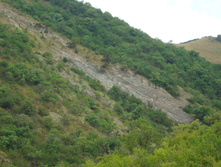 28.07.2009 8:39:16