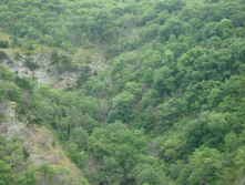 28.07.2009 8:39:58