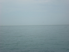 28.07.2009 8:42:21