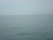 28.07.2009 8:42:30