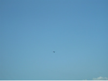 28.07.2009 8:50:56