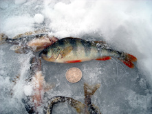 DSCN7653.jpg