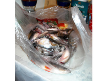 DSCN7665.jpg