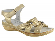 ��������� DY1036-30 gold ( �. 31-36) ���� 540 ���
