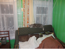 DSC00639.JPG