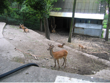 29.07.2009 15:26:51