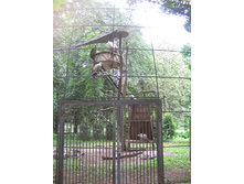29.07.2009 15:42:53