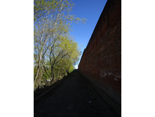 IMG_2768.JPG